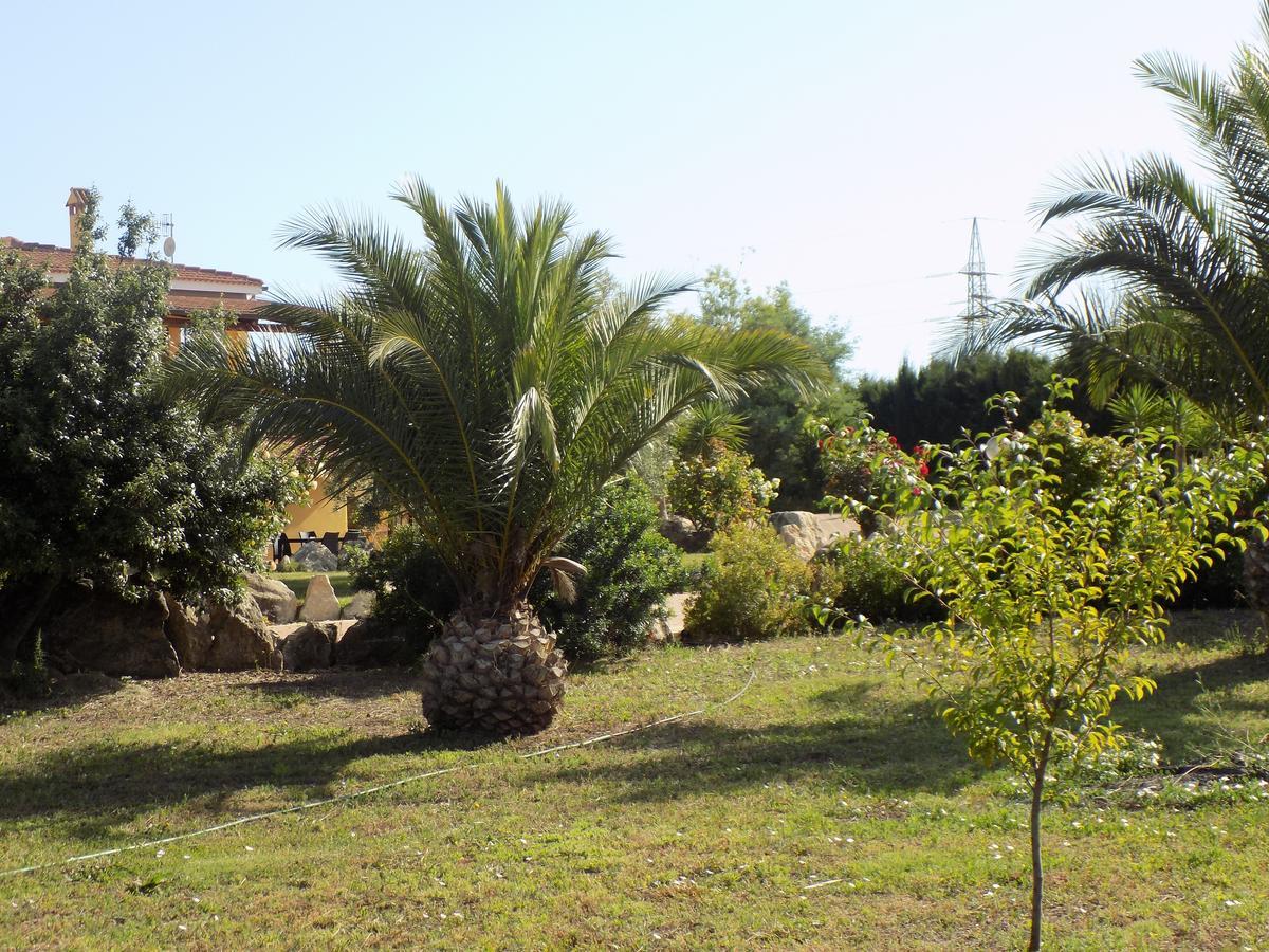 Villa Sorrentina อาลเกโร ภายนอก รูปภาพ