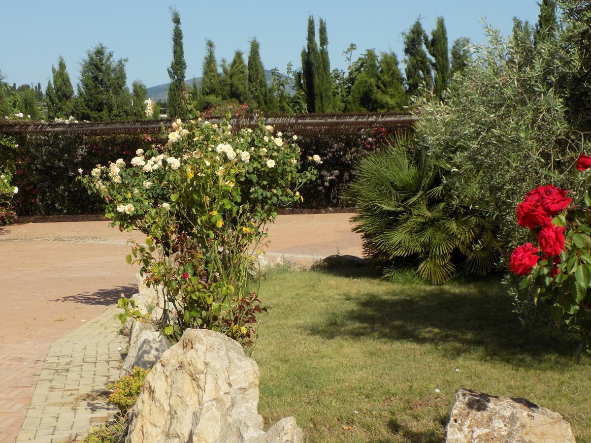 Villa Sorrentina อาลเกโร ภายนอก รูปภาพ
