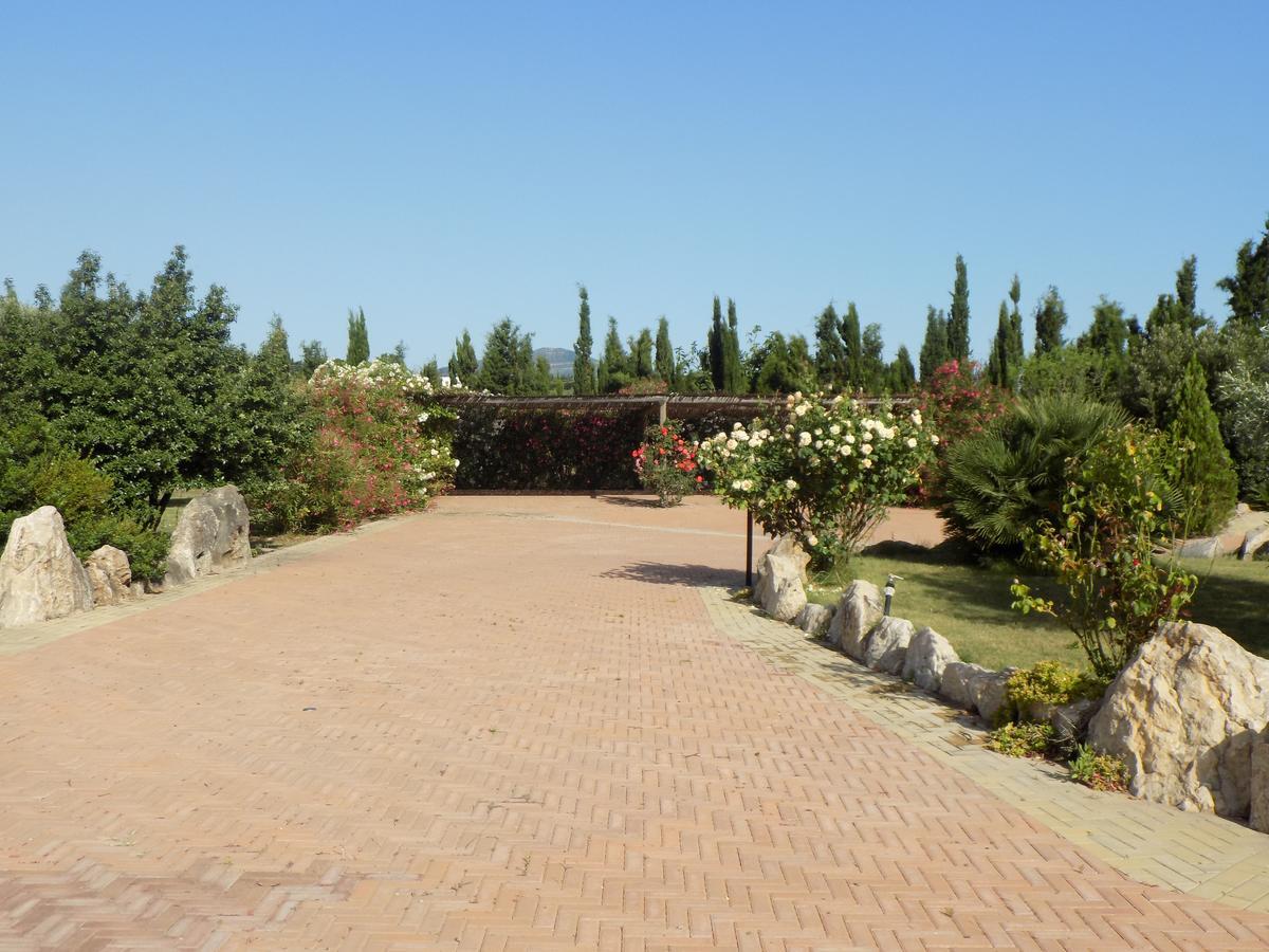 Villa Sorrentina อาลเกโร ภายนอก รูปภาพ